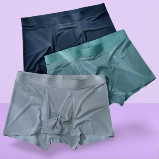 Classic Underwear of Men's Ice Silk Briefs Boxers (Pack of 3)