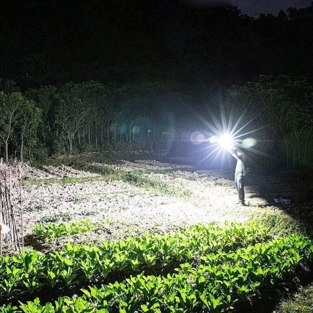 Person using portable rechargeable LED flashlight to illuminate garden area at night